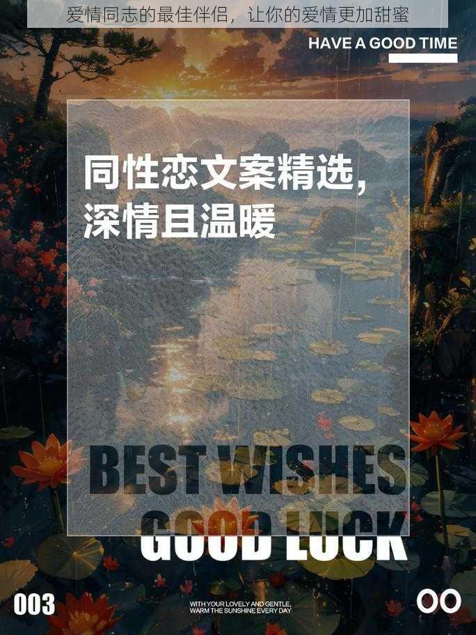 爱情同志的最佳伴侣，让你的爱情更加甜蜜