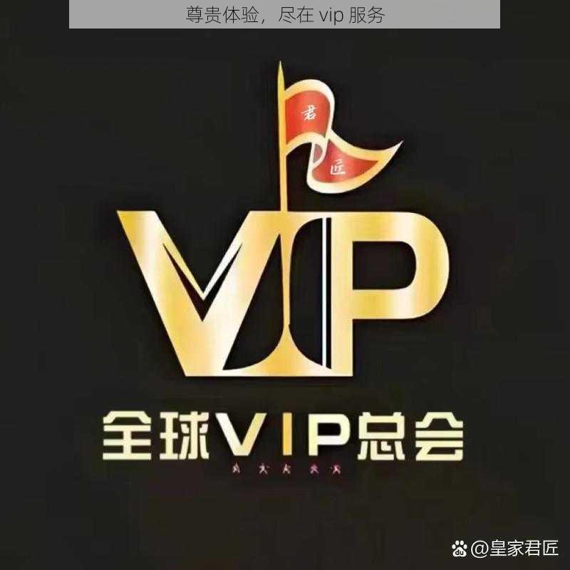 尊贵体验，尽在 vip 服务