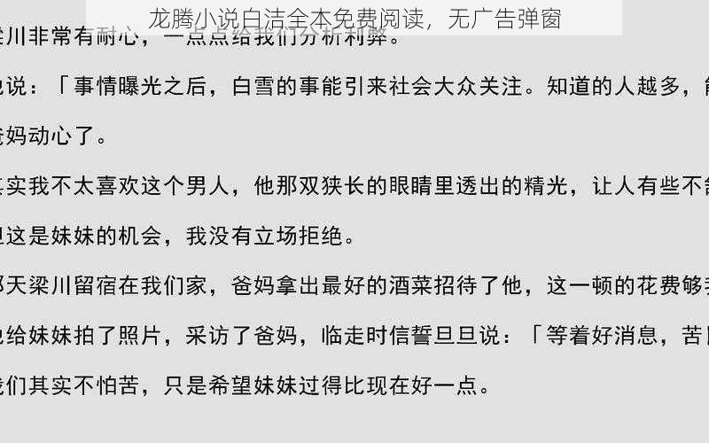 龙腾小说白洁全本免费阅读，无广告弹窗