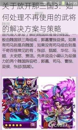 关于放开那三国3：如何处理不再使用的武将的解决方案与策略