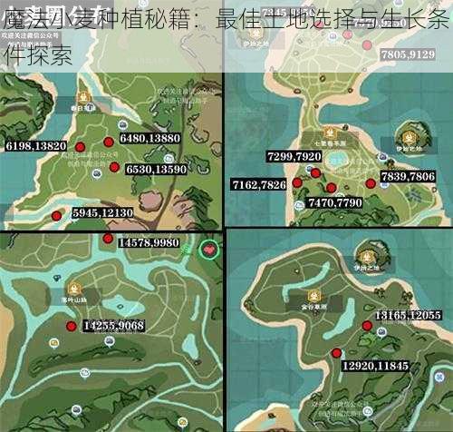 魔法小麦种植秘籍：最佳土地选择与生长条件探索