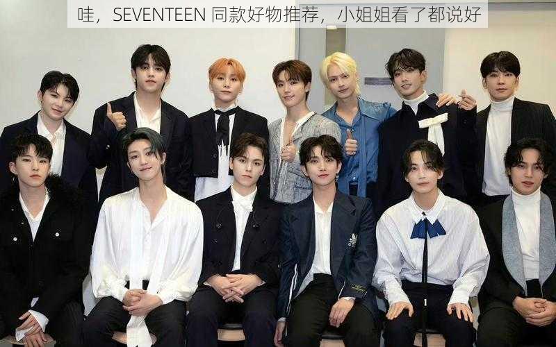 哇，SEVENTEEN 同款好物推荐，小姐姐看了都说好