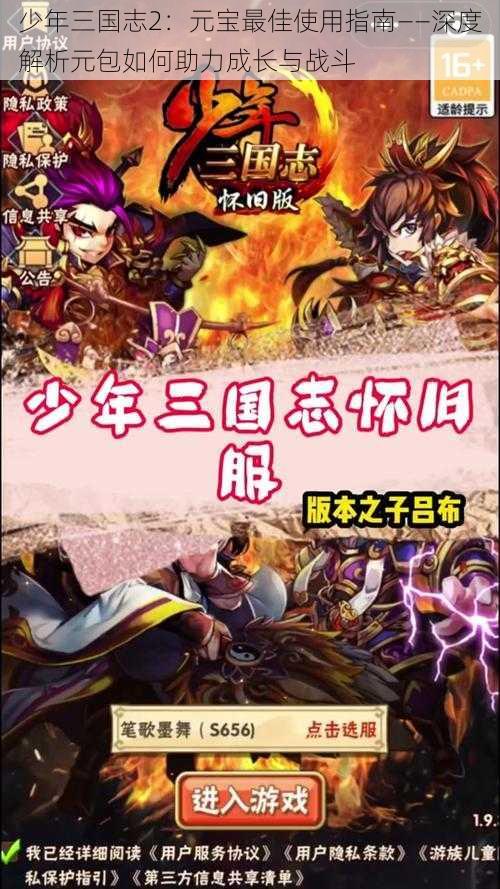 少年三国志2：元宝最佳使用指南——深度解析元包如何助力成长与战斗