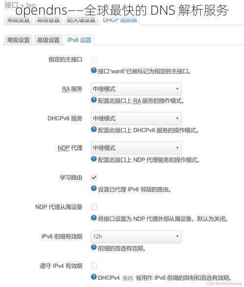 opendns——全球最快的 DNS 解析服务