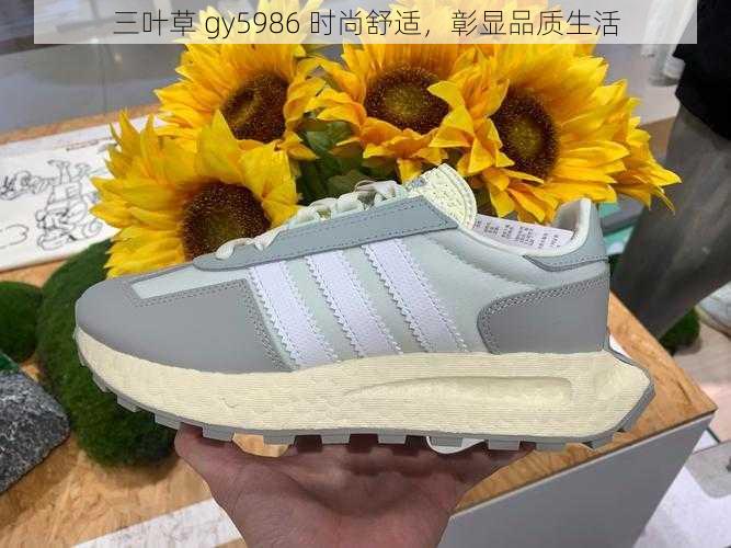 三叶草 gy5986 时尚舒适，彰显品质生活