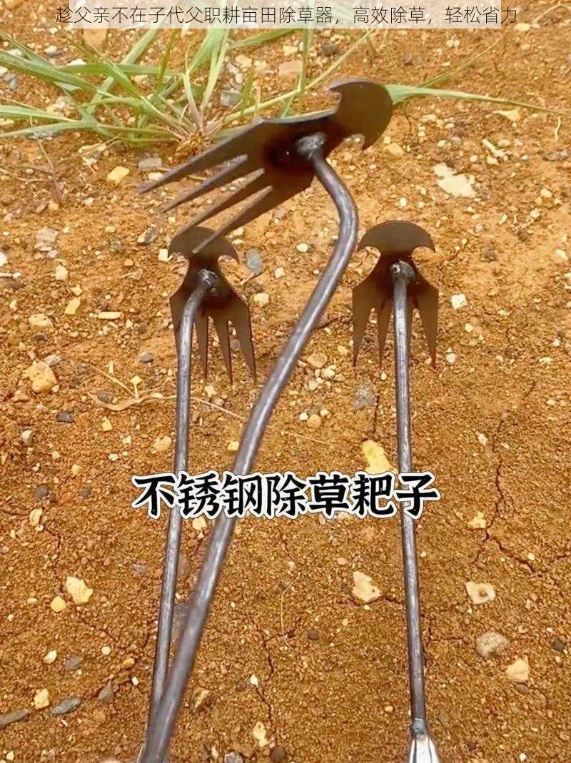 趁父亲不在子代父职耕亩田除草器,高效除草,轻松省力