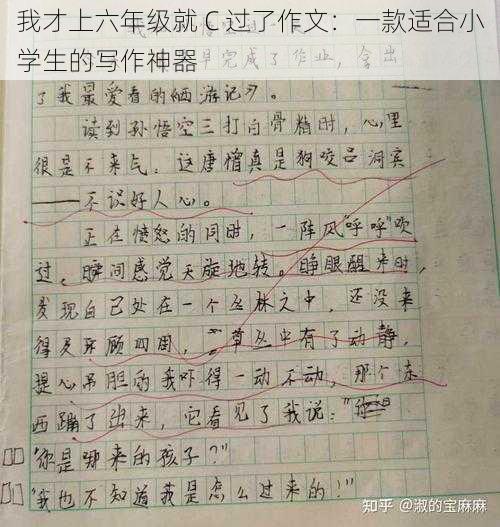 我才上六年级就 C 过了作文：一款适合小学生的写作神器