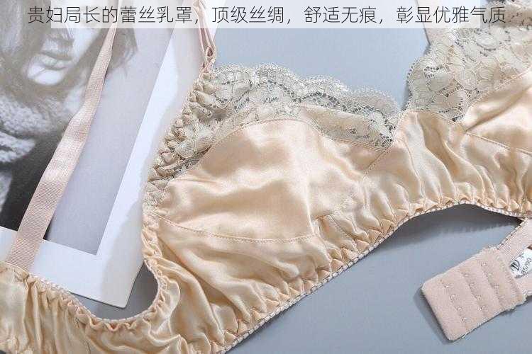 贵妇局长的蕾丝乳罩，顶级丝绸，舒适无痕，彰显优雅气质