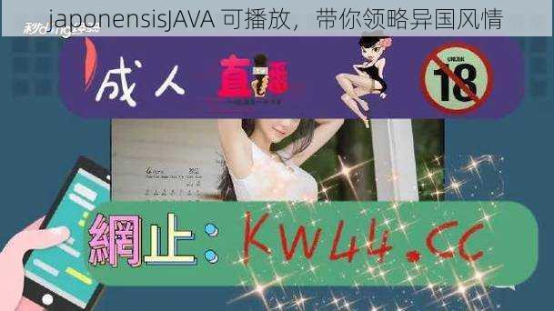 japonensisJAVA 可播放，带你领略异国风情