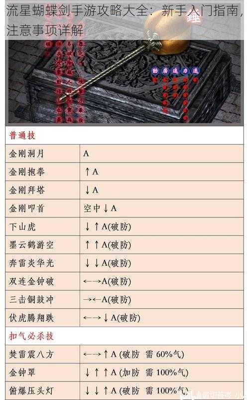 流星蝴蝶剑手游攻略大全：新手入门指南，注意事项详解