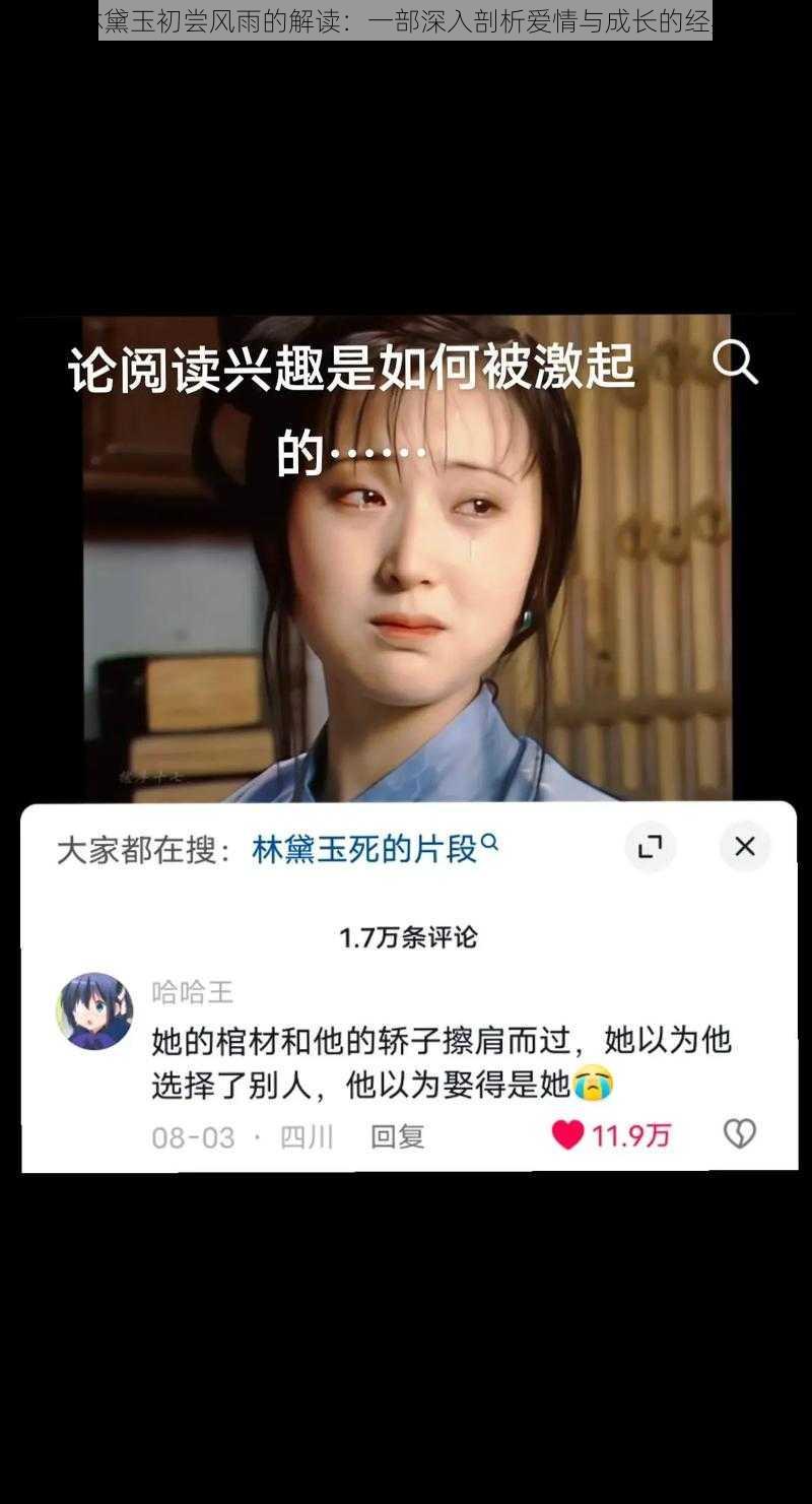 宝玉林黛玉初尝风雨的解读：一部深入剖析爱情与成长的经典之作