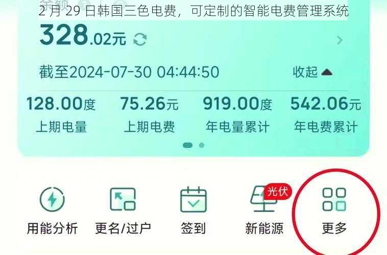 2 月 29 日韩国三色电费，可定制的智能电费管理系统