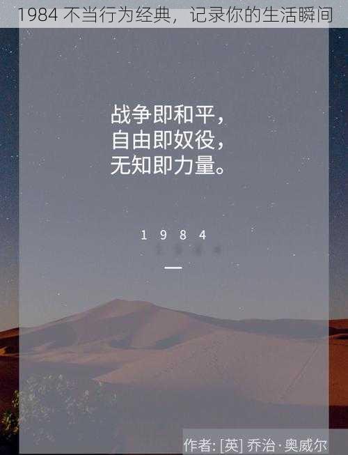 1984 不当行为经典，记录你的生活瞬间