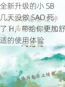 全新升级的小 SB 几天没做 SAO 死了 H，带给你更加舒适的使用体验