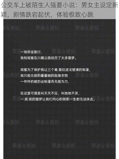 公交车上被陌生人强要小说：男女主设定新颖，剧情跌宕起伏，体验极致心跳