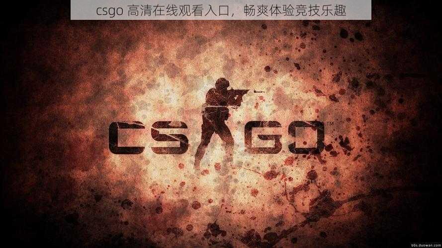 csgo 高清在线观看入口，畅爽体验竞技乐趣