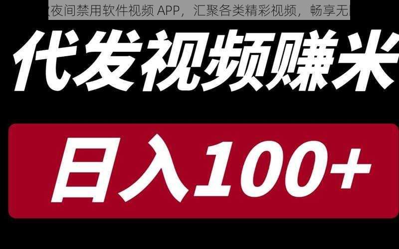 100 款夜间禁用软件视频 APP，汇聚各类精彩视频，畅享无限乐趣