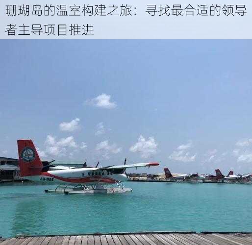 珊瑚岛的温室构建之旅：寻找最合适的领导者主导项目推进