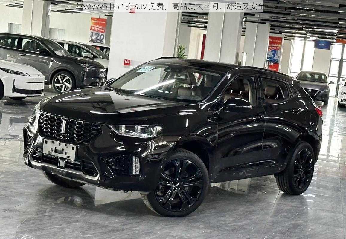 weyvv5 国产的 suv 免费，高品质大空间，舒适又安全