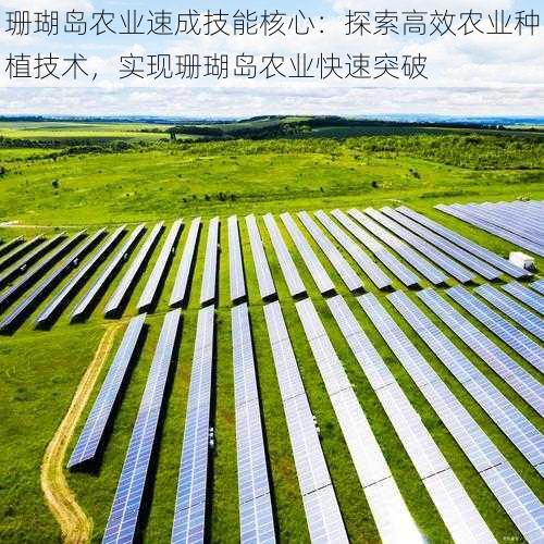 珊瑚岛农业速成技能核心：探索高效农业种植技术，实现珊瑚岛农业快速突破