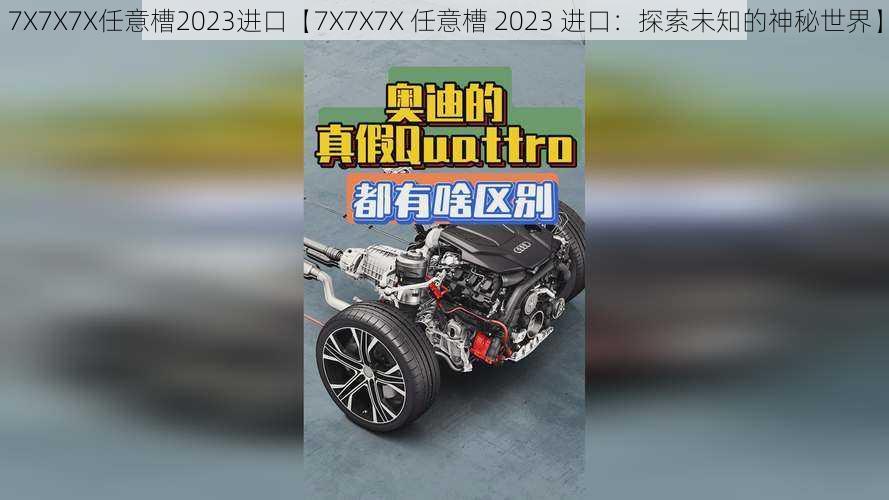 7X7X7X任意槽2023进口【7X7X7X 任意槽 2023 进口：探索未知的神秘世界】