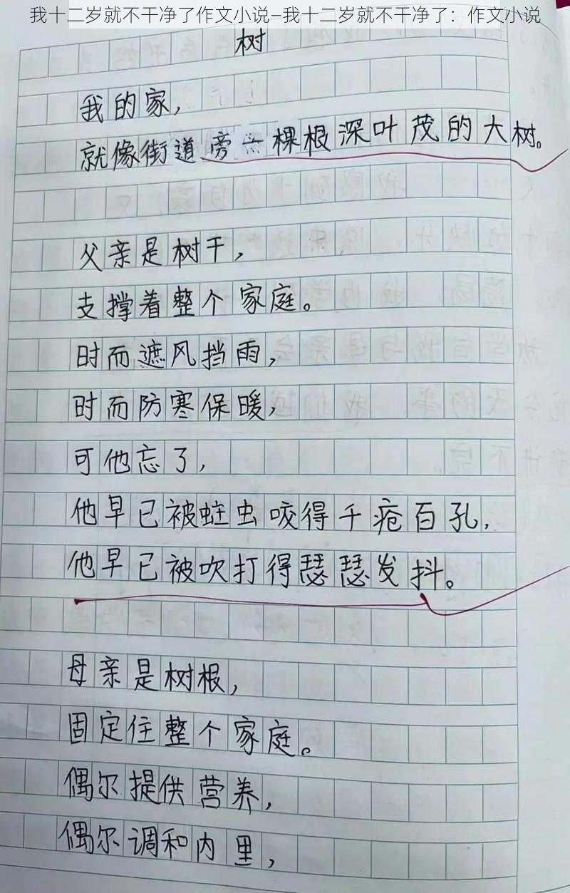 我十二岁就不干净了作文小说—我十二岁就不干净了：作文小说