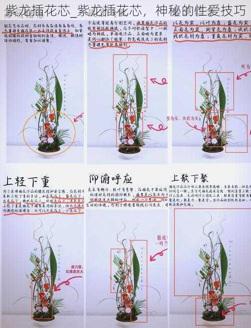 紫龙插花芯_紫龙插花芯，神秘的性爱技巧