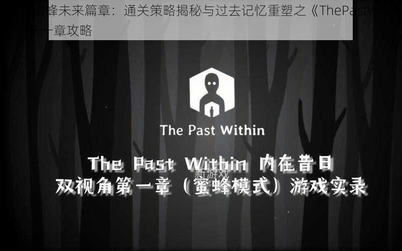 解锁蜜蜂未来篇章：通关策略揭秘与过去记忆重塑之《ThePastWithin》第一章攻略