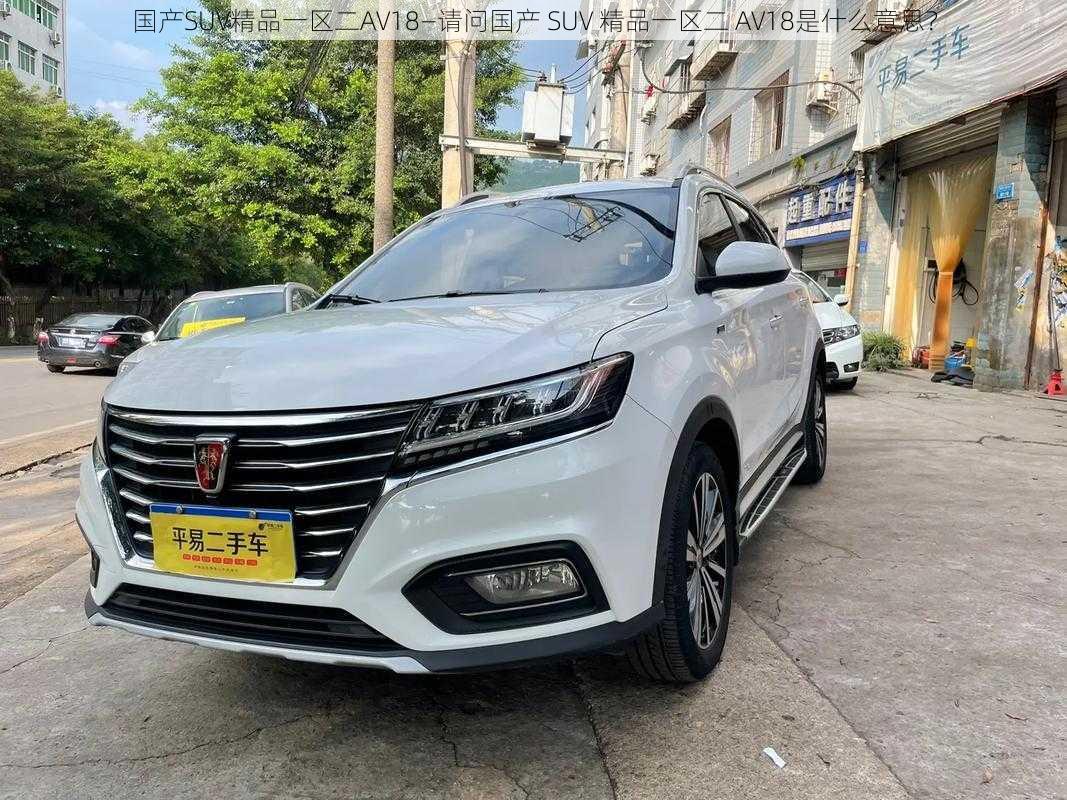 国产SUV精品一区二AV18—请问国产 SUV 精品一区二 AV18是什么意思？