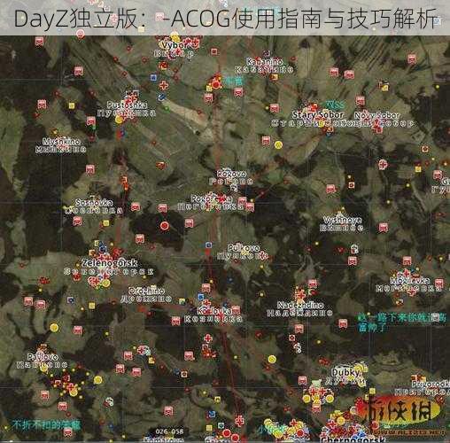 DayZ独立版：-ACOG使用指南与技巧解析