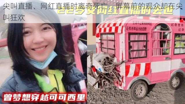 尖叫直播、网红直播时离奇死亡，屏幕前的观众却在尖叫狂欢