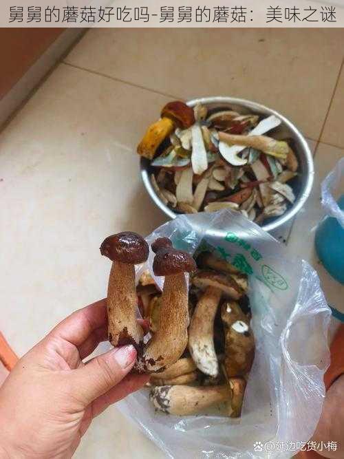 舅舅的蘑菇好吃吗-舅舅的蘑菇：美味之谜