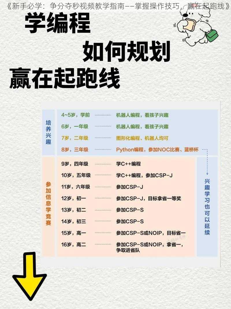 《新手必学：争分夺秒视频教学指南——掌握操作技巧，赢在起跑线》