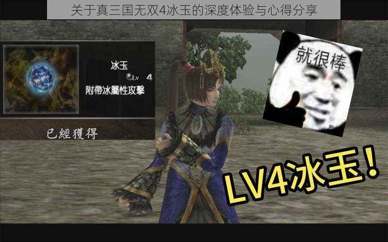 关于真三国无双4冰玉的深度体验与心得分享