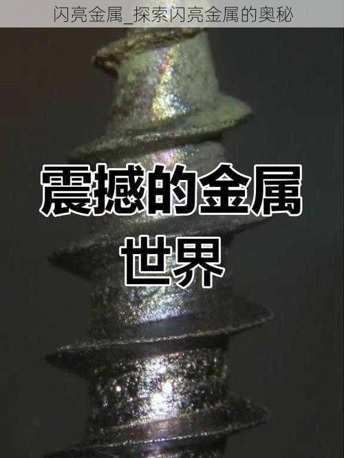 闪亮金属_探索闪亮金属的奥秘