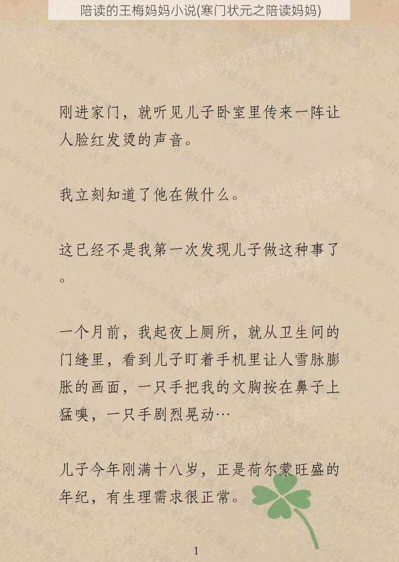 陪读的王梅妈妈小说(寒门状元之陪读妈妈)