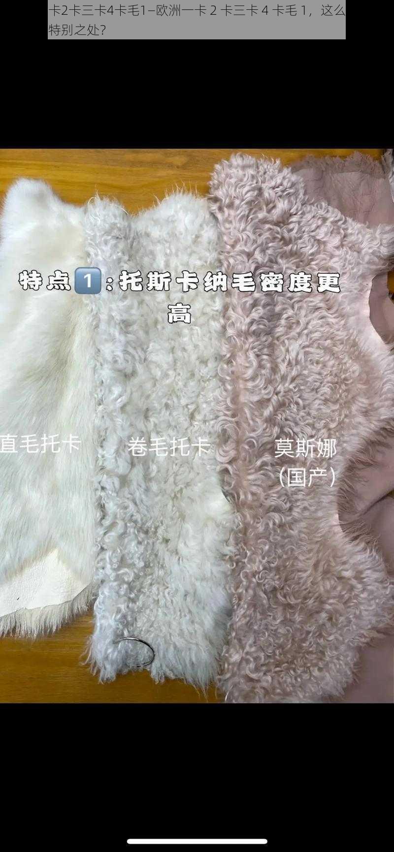 欧洲一卡2卡三卡4卡毛1—欧洲一卡 2 卡三卡 4 卡毛 1，这么多卡槽有什么特别之处？