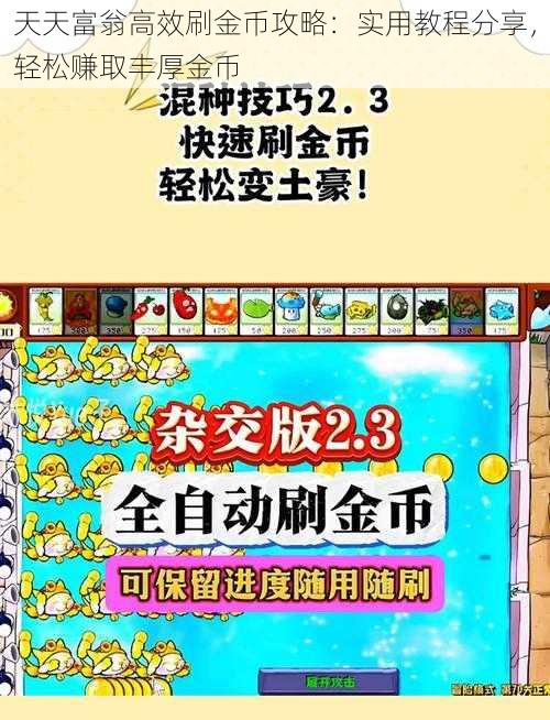 天天富翁高效刷金币攻略：实用教程分享，轻松赚取丰厚金币