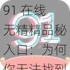 91 在线无精精品秘入口：为何你无法找到？如何解决？