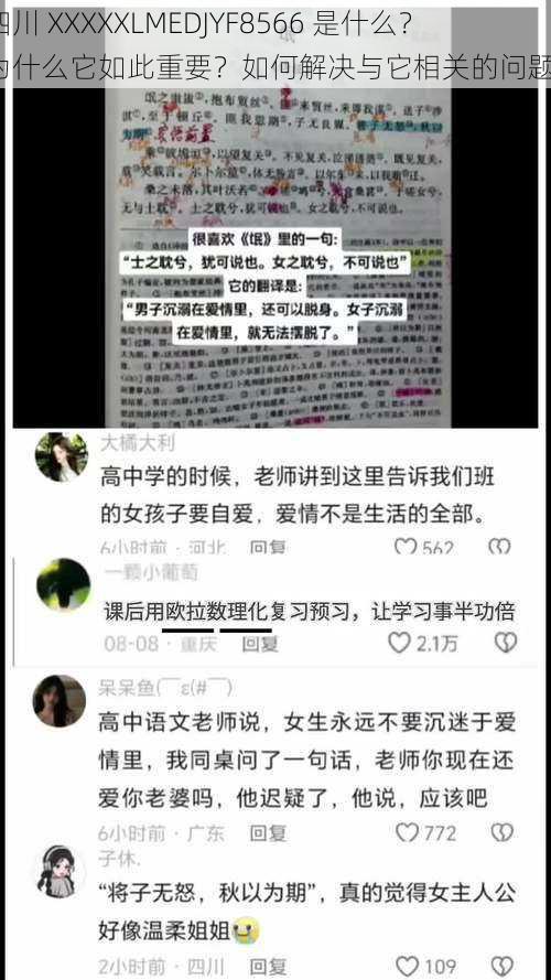 四川 XXXXXLMEDJYF8566 是什么？为什么它如此重要？如何解决与它相关的问题？