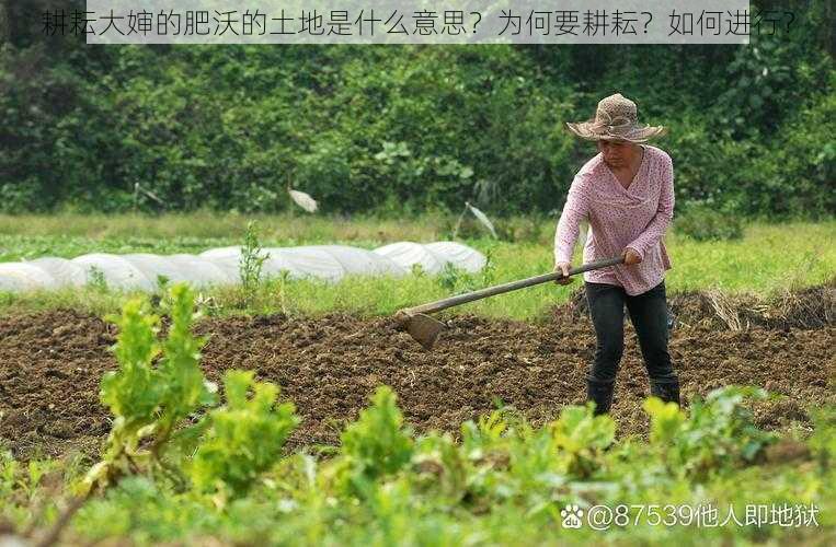 耕耘大婶的肥沃的土地是什么意思？为何要耕耘？如何进行？