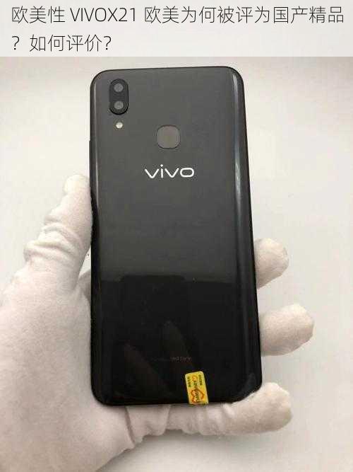 欧美性 VIVOX21 欧美为何被评为国产精品？如何评价？