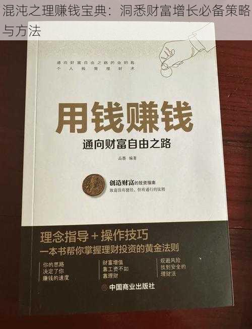 混沌之理赚钱宝典：洞悉财富增长必备策略与方法