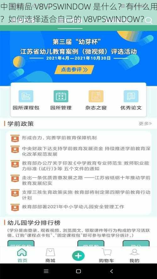 中国精品 V8VPSWINDOW 是什么？有什么用？如何选择适合自己的 V8VPSWINDOW？