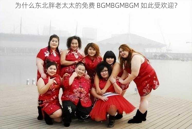 为什么东北胖老太太的免费 BGMBGMBGM 如此受欢迎？