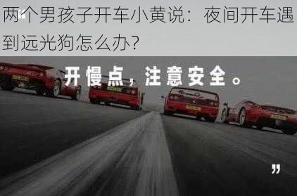 两个男孩子开车小黄说：夜间开车遇到远光狗怎么办？