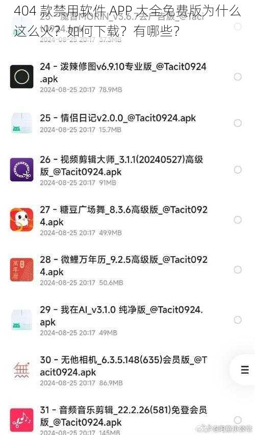 404 款禁用软件 APP 大全免费版为什么这么火？如何下载？有哪些？