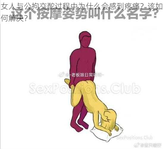 女人与公拘交酡过程中为什么会感到疼痛？该如何解决？