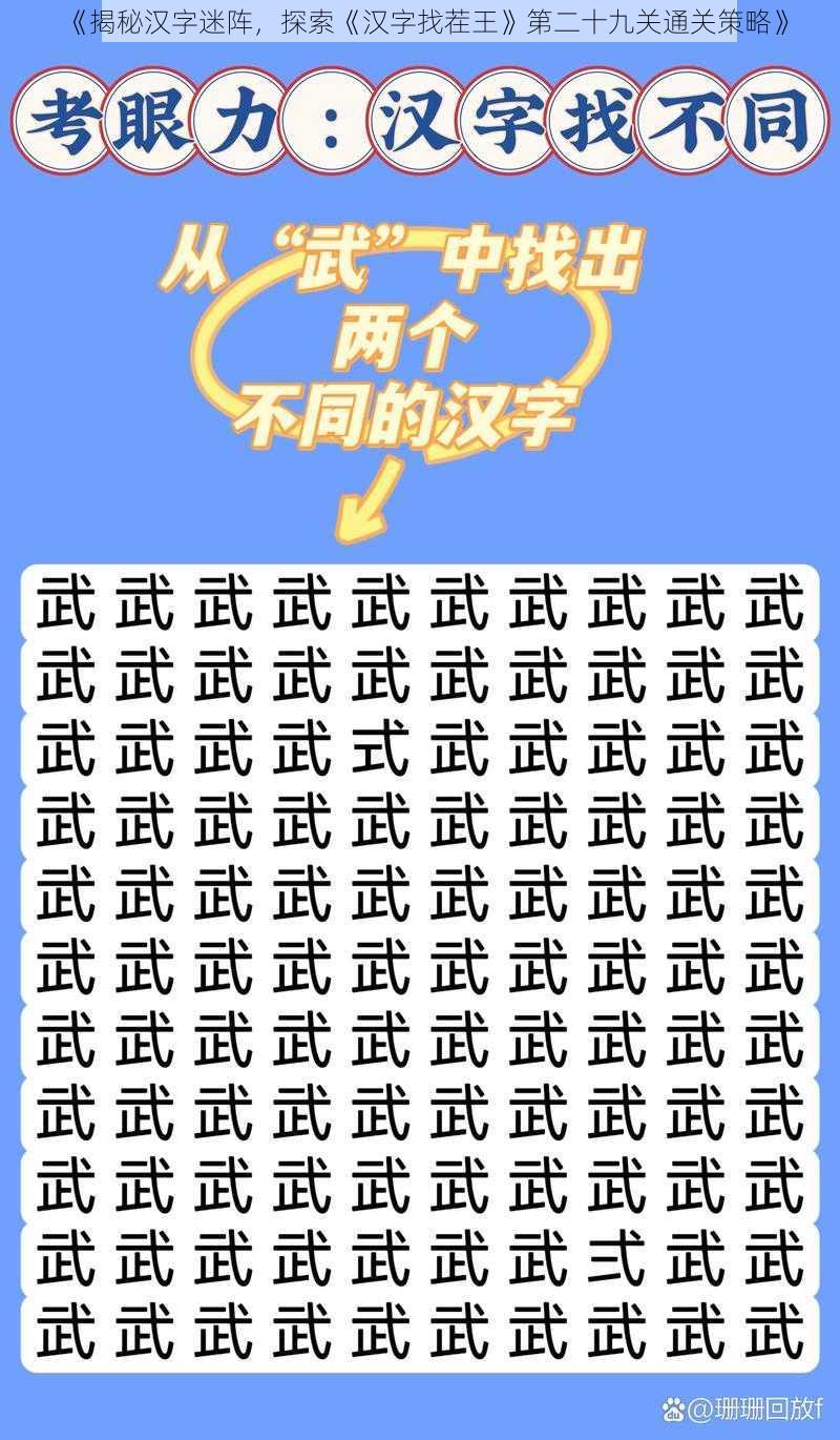 《揭秘汉字迷阵，探索《汉字找茬王》第二十九关通关策略》