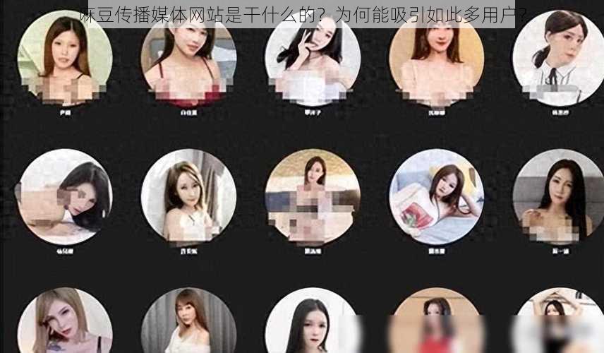 麻豆传播媒体网站是干什么的？为何能吸引如此多用户？